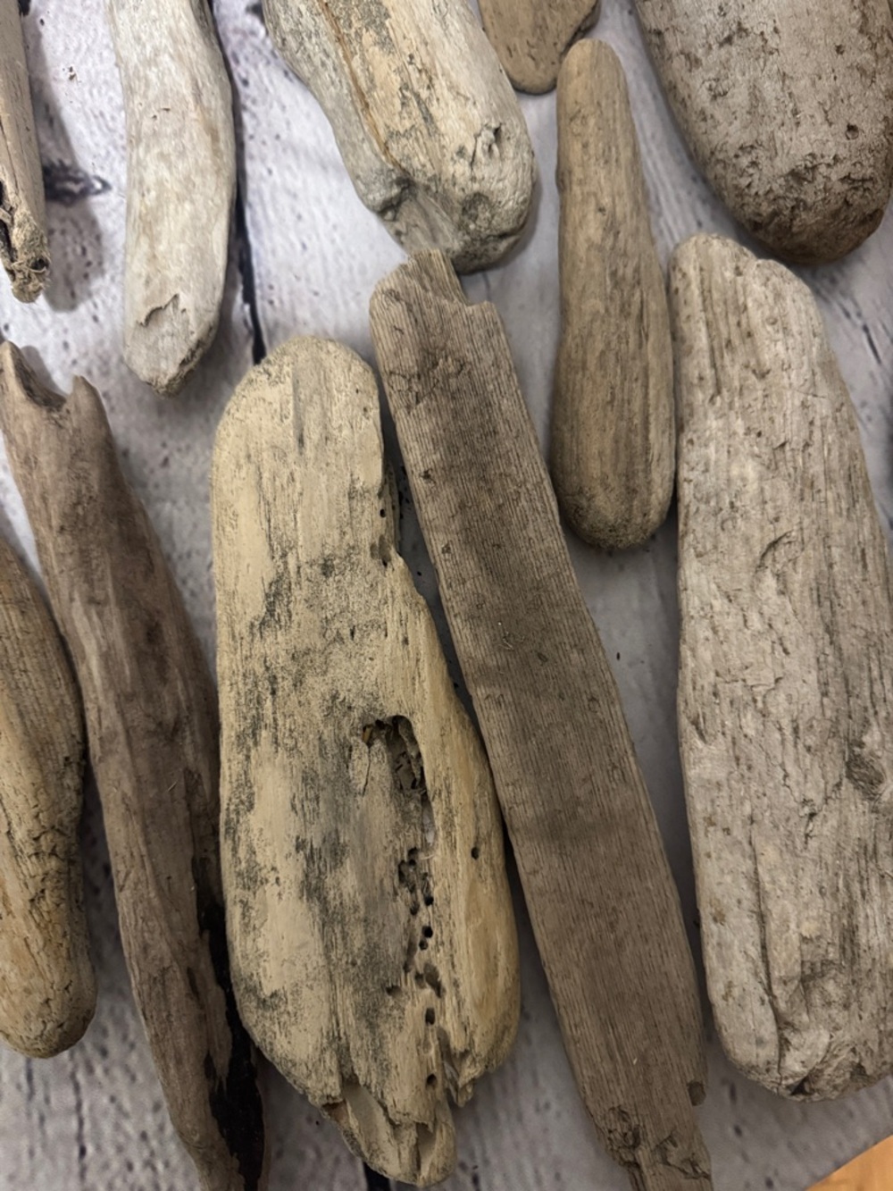 20 pieces PNW Pacific Ocean Grays Harbor Natural Driftwood Home Accent Bundle - Picture 7 of 17